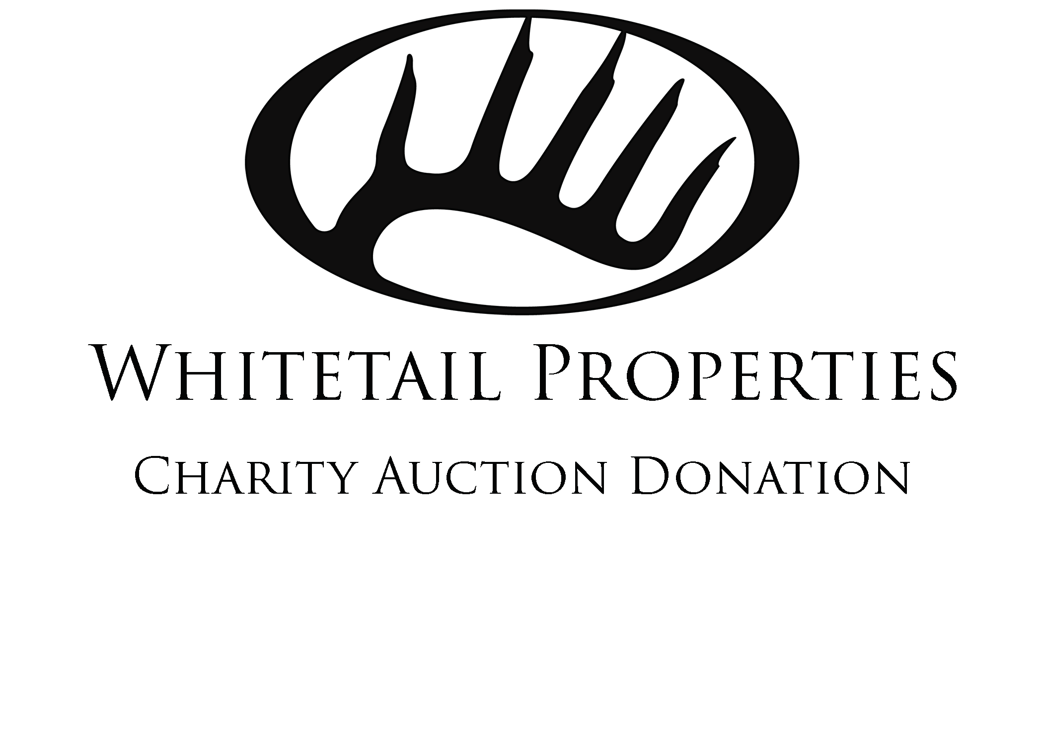 Charity Auction Donation